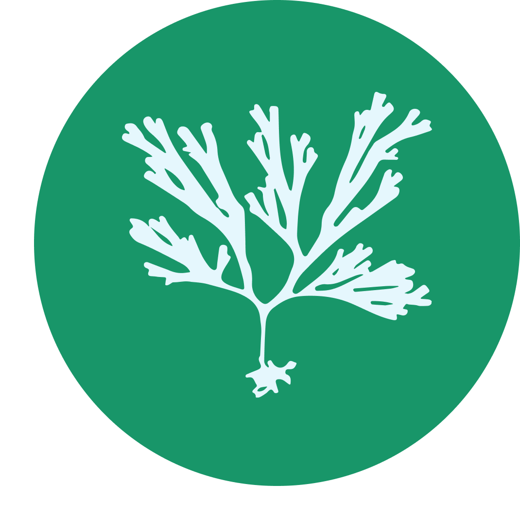 Macroalgae
