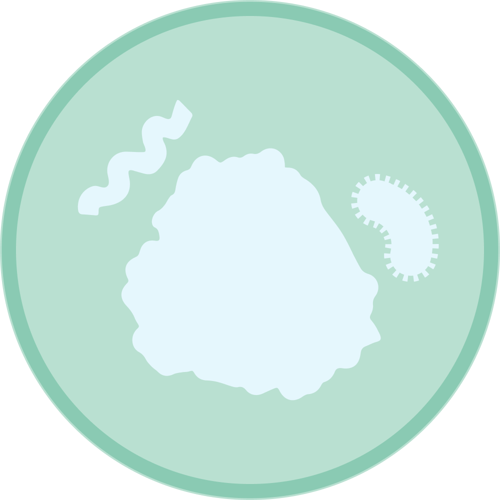 Microbes