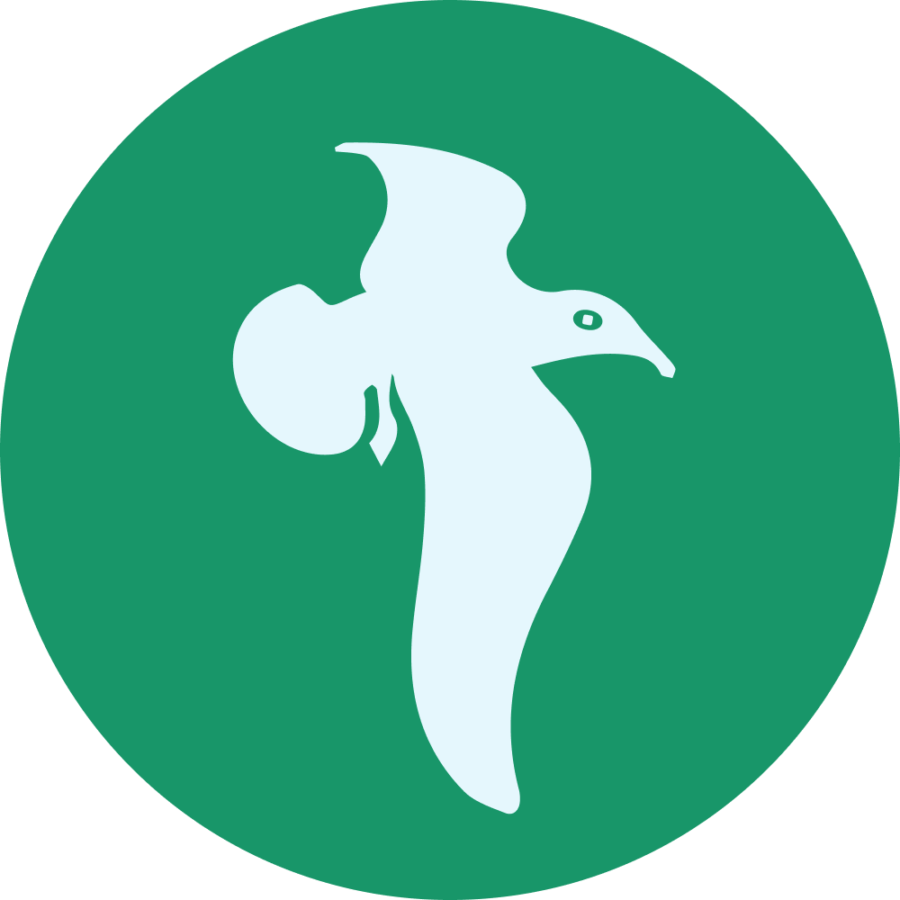 Seabirds