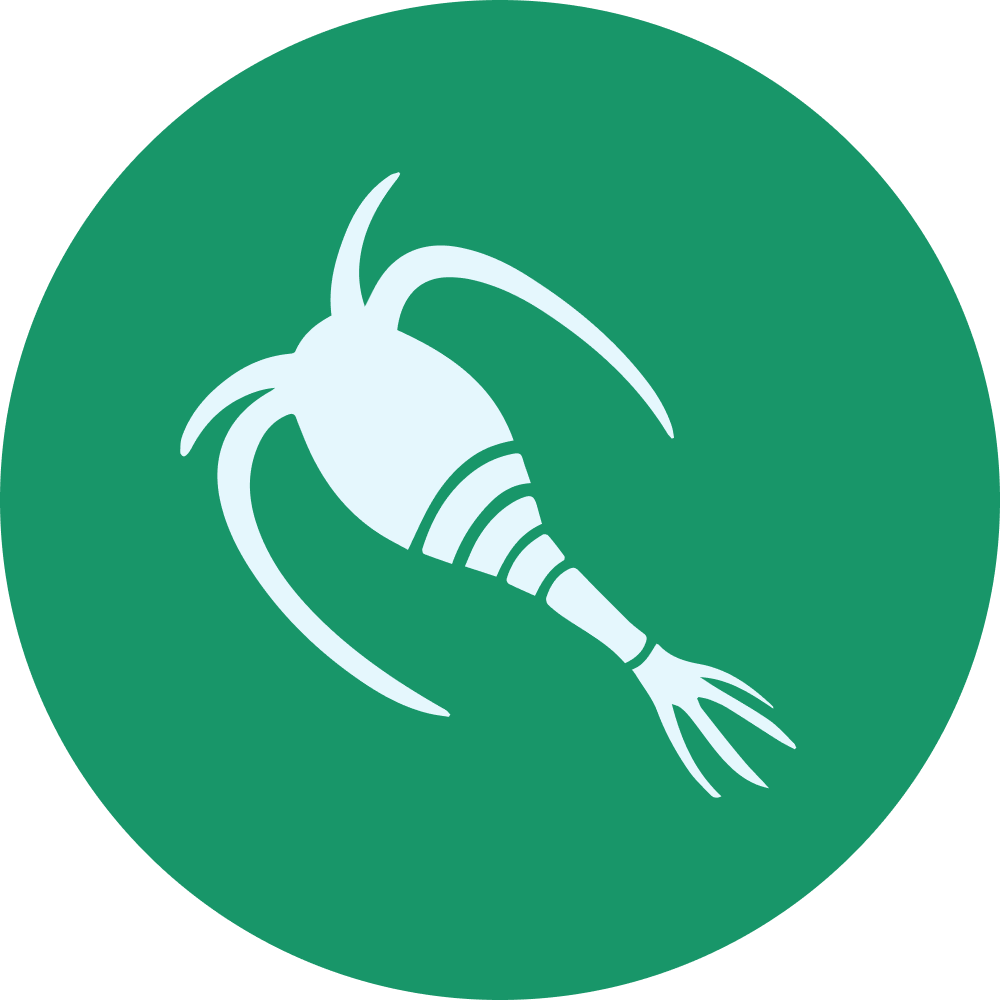 Zooplankton